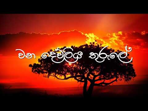 වන දෙව්ලිය තුරුලේ / Wana Dewliya Thurule
