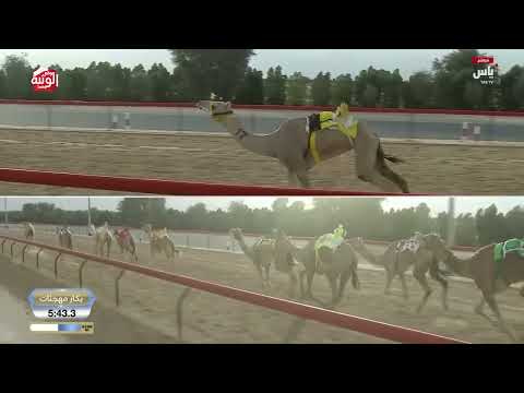 ش 16 (سحابه) لـ سعيد جابر عبدالله محمد 12:21:02 ، ختامي المرموم 2026/03/30 ثنايا