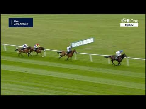 Bowl Chase - Gruppe 1