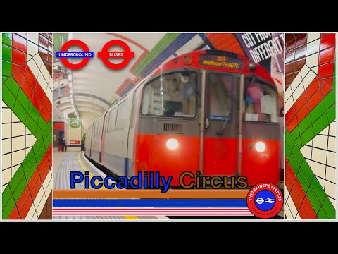 London Underground Trains and Buses at Piccadilly Circus Station! - LU (12/05/2024)