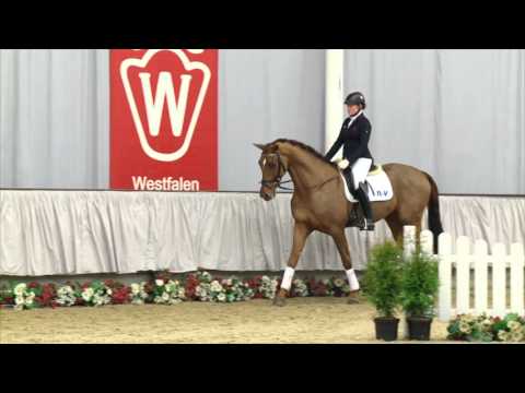 31 Vitello  Wallach v. Vitalis - Royal Angelo