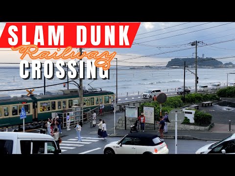 Shichirigahama Beach Video