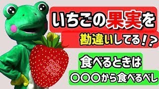 【いちごの果実】赤い部分の正体は〇〇！？美味しい食べ方も紹介！