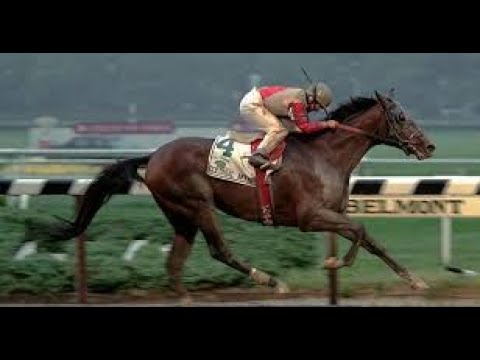 Belmont Stakes (G1) 1993