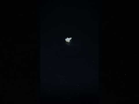 YouTube 썸네일