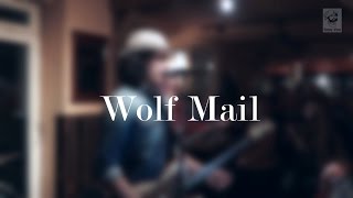 WOLF MAIL live in Celle - Herzog Ernst - Germany - 10/2016