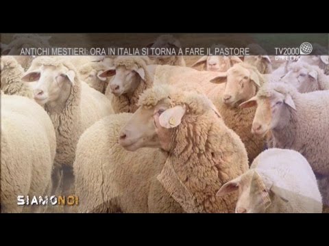 Trattamento Reiki della colonna vertebrale Il mal di schiena dopo lunga data