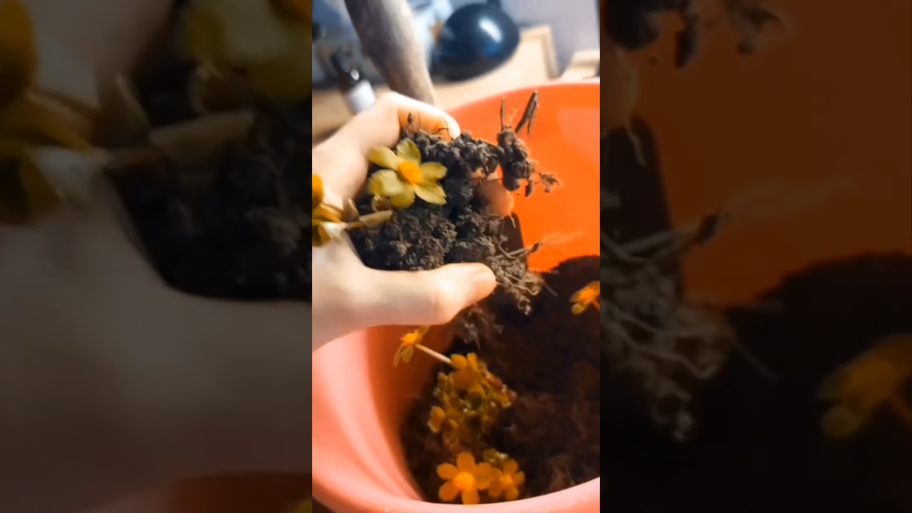  Keď veci dostanú druhú šancu.....napríklad aj vo floristike