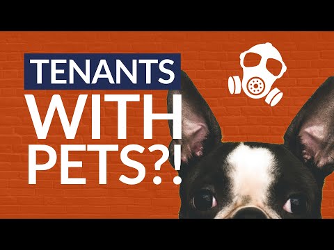 Renting With Pets Explained | Why Landlords Should Accept Tenant With Pets?