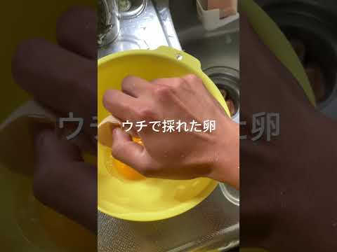 鶏に卵が詰まった場合はどうすればよいですか?リスクなしですぐに解決するための 5 つのアクション!  庭園