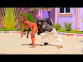 Katemi Lunduma Shibyalilwe Official Music Video2022 Dir D Frank