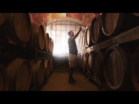 Z MALOKARPATSKEJ PÔDY – 6. Výroba sektu