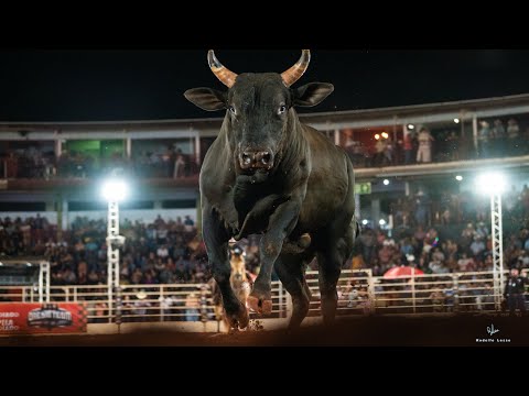 Rodeio de COLORADO 2025 (QUINTA / MELHORES MOMENTOS)