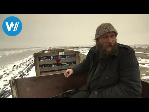 The Halligen in the middle of winter, in the middle of the water (360° - GEO Reportage)