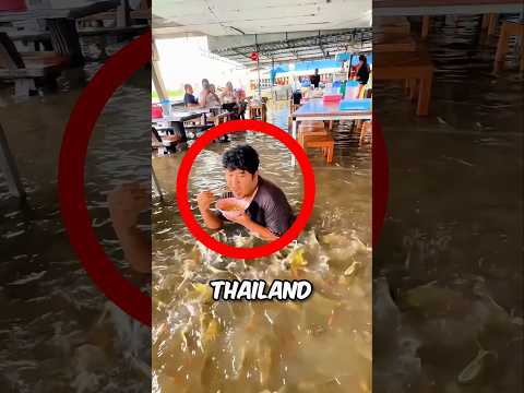 The Weirdest Noodle Shop! 😲