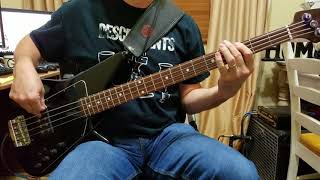 Descendents - We Bass Cover