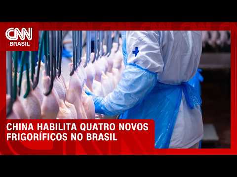 Após missão no Brasil, China habilita quatro novos frigoríficos | CNN AGRO NEWS