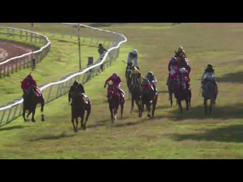 BTC RACE DAY 14TH FEB 2026   RACE 6