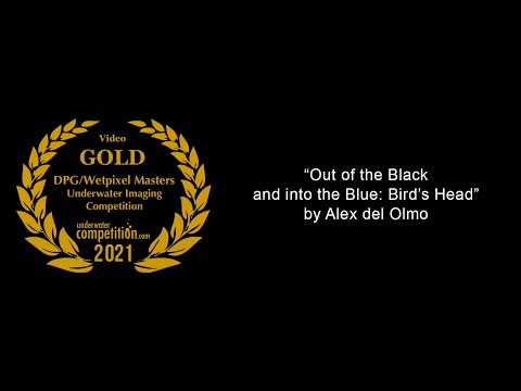 DPG/Wetpixel Masters 2021 Gold Video Winner – “Out of the Black and into the Blue: Bird’s Head”