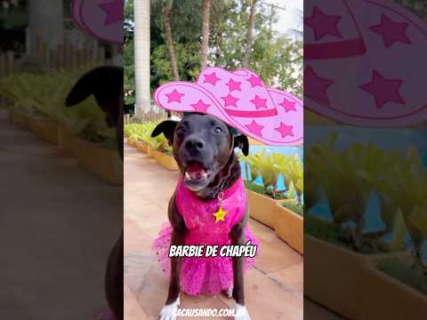 BARBIE DE CHAPÉU #cachorros #cachorro #cachorrosengraçados #barbie