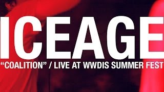 Iceage - Coalition / Live at Wwdis Summer Fest