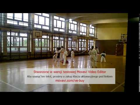 Shin Kyokuskin By Sensei Tomasz Najduch