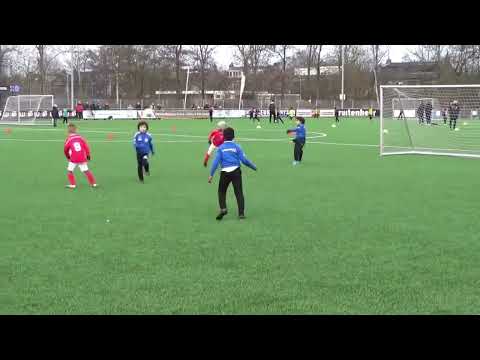 Pancratius JO8-2 - DCG