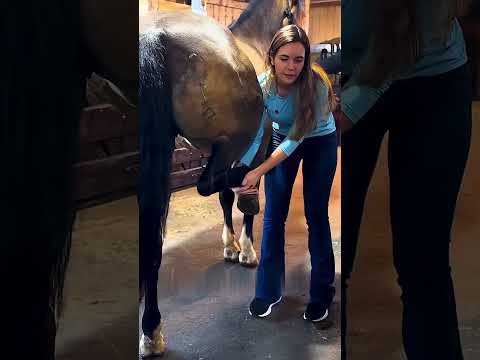 Неожиданное лечение лошади 😯