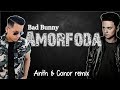 Lyrics: Bad Bunny - Amorfoda (Anth & Conor remix) Lyrics: Bad Bunny - Amorfoda (Anth & Conor remix)
