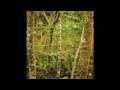 Sybarite - 45 Degrees/Engaged (Lilienthal Remix)