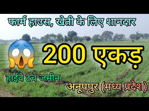 200 Acre Land for sale in Anuppur  Madhya Pradesh