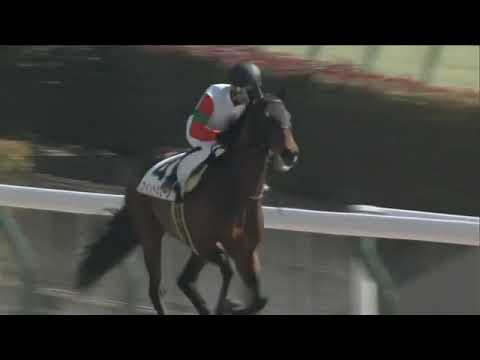 2021.02.21 3yo Newcomer (JPN) - Windmuhle