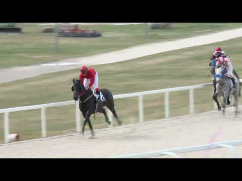 2022.04.03. 02. futam - ÓDALMANDI HENDIKEP (V/b.) (szintetikus pálya)