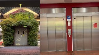 Aufzugstour (Hamburg) Grone Wirtschaftsakademie