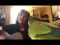 Vic Chesnutt song “Steve Willoughby”