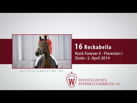 16 Rockabella Stute v. Rock Forever II - Florestan I