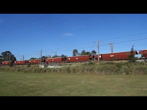 Quad C's with SSR 4343 Grain - 19/10/17