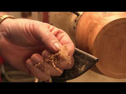 ABCs of Woodturning.