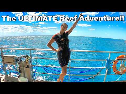 Thumbnail for DIVING THE GREAT BARRIER REEF!! 🤿 | Cairns, Australia | Norwegian Sun Cruise | Lauryn Rachel