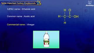 Some Important Carbon Compounds - Ethanol and Ethanoic Acid | Science For Grade 10