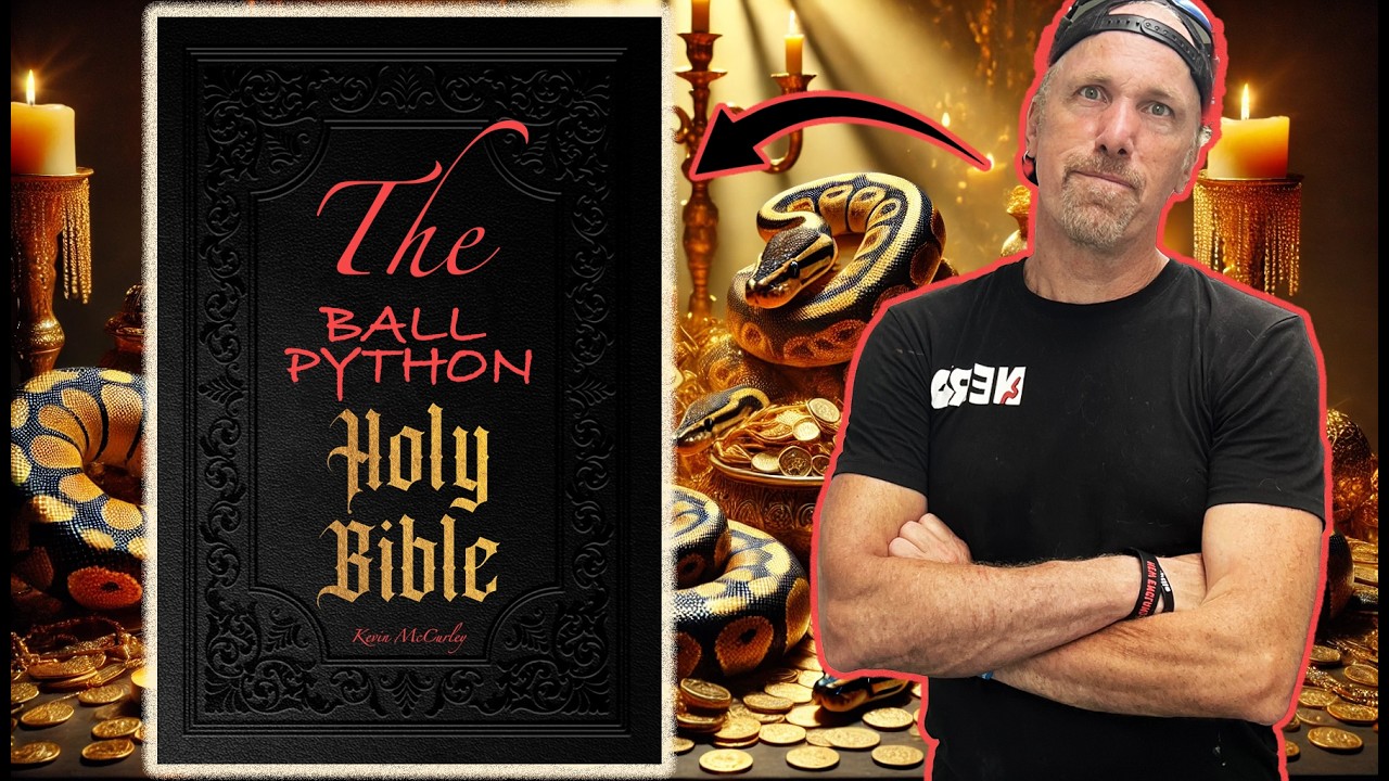 THE Ball Python Bible