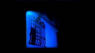 Deinonychus - A Misleading Scenario.wmv