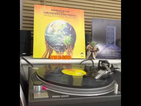 Into My Life (You Brought The Sunshine) - Elements Of Life Feat. Lisa Fischer & Cindy Mizelle (2008)