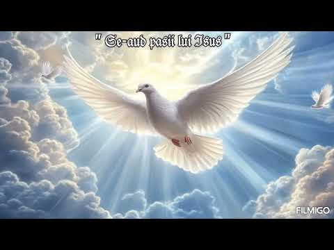 " 𝔖𝔢-𝔞𝔲𝔡 𝔭𝔞𝔰𝔦𝔦 𝔩𝔲𝔦 ℑ𝔰𝔲𝔰 "