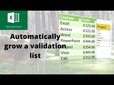 Boost Excel productivity with auto-expanding lists