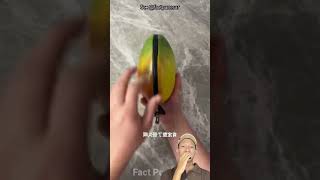 Download lagu I THOUGHT IT WAS A WALLET, BUT TURNED OUT TO BE A MANGO 😱 #shorts #feedshorts #remix mp3