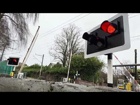 Sydney Parade Level Crossing (31/12/2024)