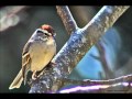 Robert Earl Keen and Margo Timmins - "Then Came Lo Mein"