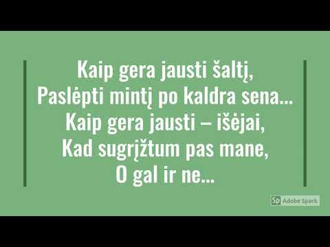 ŽAS - Sapnų kulkos (žodžiai)