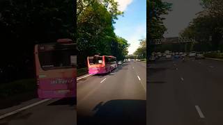 Download lagu Singapore #express #bus 😲#trending #plzsubscribe #viral #singapore #malaysia #shorts #like #happy mp3